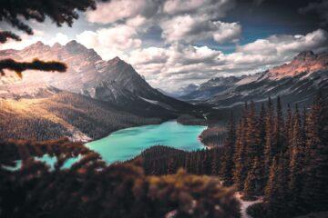 scenic photo of lake surrounded by trees