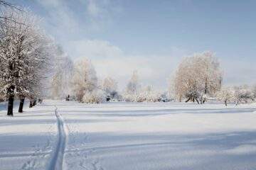 ski tracks on snow on sunny winter day